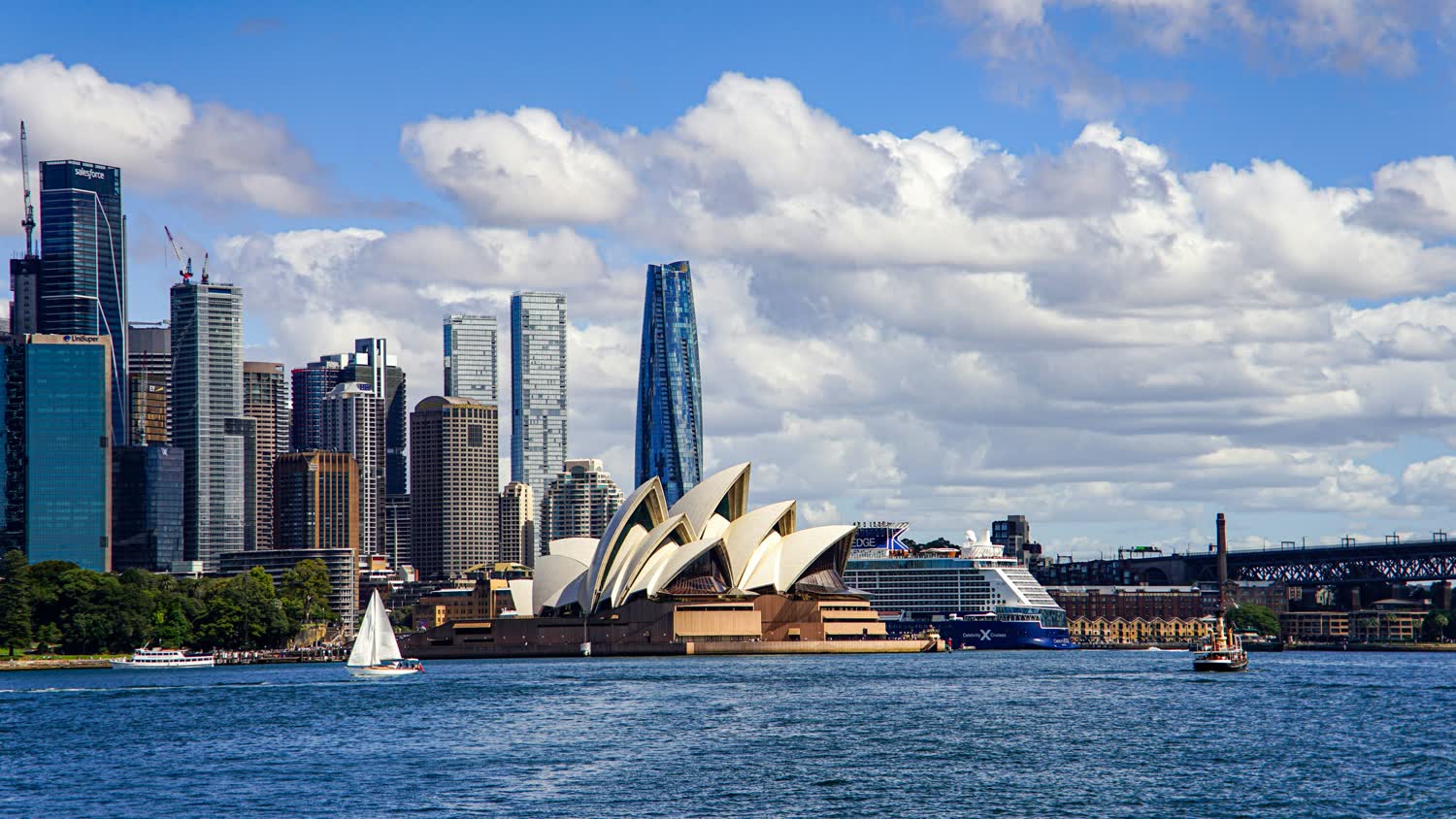 Sydney Harbour on a bright day, with the white sails of the Opera House in front, the city skyline behind, and a cruise ship and small boats on the blue water